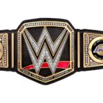 Paul Michael Lévesque Instagram - JOB FINISHED. Congratulations to MVP @KingJames, @AntDavis23 and the entire @Lakers organization on their 17th @NBA Championship. Enjoy this @WWE title!!! #LakeShow #ForKobe #NBAFinals