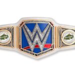 Paul Michael Lévesque Instagram - Another year, another @WNBA Championship, and a SECOND @WWE Title heading to the @seattlestorm. Congratulations to the team on a dominating performance in the finals. make some room for this! #WeRepSe4ttle #StrongerThanEver