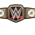 Paul Michael Lévesque Instagram - After 16 years, the #StanleyCup is coming back to the Sunshine state... with THIS @WWE Championship. Congratulations to the @tblightning on an amazing postseason run nobody will ever forget. #GoBolts