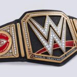 Paul Michael Lévesque Instagram – For the first time in 50 years, the Kansas City @chiefs can say they are #SuperBowl Champions again! Congratulations to Coach Andy Reid, MVP @patrickmahomes, @killatrav, @mathieu_era, and the entire organization. Bring this title back to the #ChiefsKingdom to celebrate!