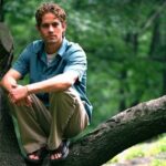 Paul Walker Instagram - “Look deep into nature, and then you will understand everything better.” - Albert Einstein ⁣ ⁣ #TeamPW