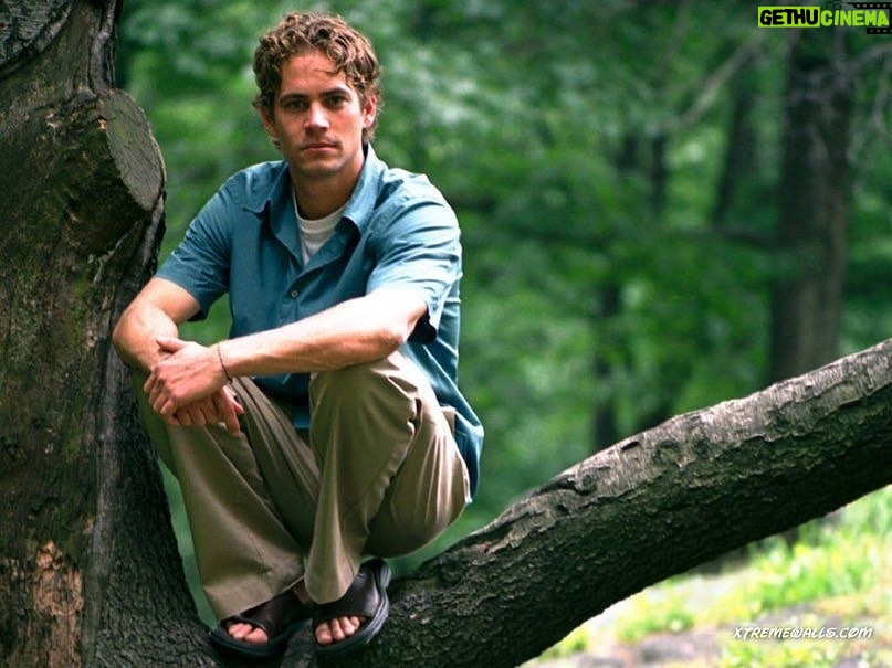 Paul Walker Instagram - “Look deep into nature, and then you will understand everything better.” - Albert Einstein ⁣ ⁣ #TeamPW