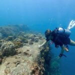Paul Walker Instagram - “We are very proud to present @MaggieSeida as our 2020 Paul Walker Ocean Leadership Award Winner! Welcome to #TeamPW, Maggie! ⁣ ⁣ This summer, Maggie is excited to further her research in marine conservation by modeling seagrass beds and corals to create data and imagery that will be used in conservation of these ecosystems. Keep up the good work Maggie, you are an inspiring #OceanLeader! #DoGood” - @PaulWalkerFdn