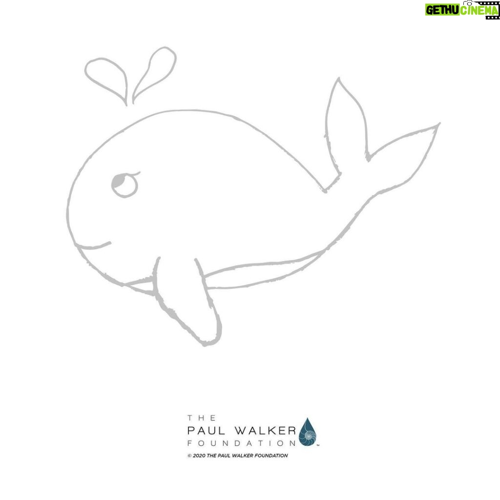 Paul Walker Instagram - Meet “Willow the Whale” the newest addition to our ocean creatures team sketched by @meadowwalker @paulwalkerfdn