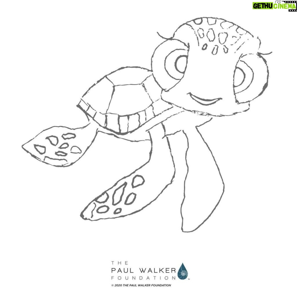 Paul Walker Instagram - Meet “Tulip the Turtle” the second one in the series. FUN FACT: Did you know, sea turtles return to the same place every two or three years to lay their eggs? Please feel free to rename her, sign your name and tag us so we can share it. Winners will receive Paul Walker Foundation merch. Connecting kids in the community with color! @paulwalkerfdn @meadowwalker