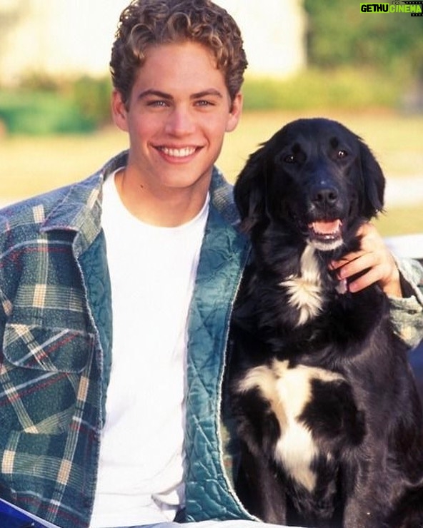 Paul Walker Instagram - #TBT 🐶 #TeamPW