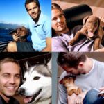 Paul Walker Instagram - Happy #NationalDogDay! 💙🐶💙 #TeamPW