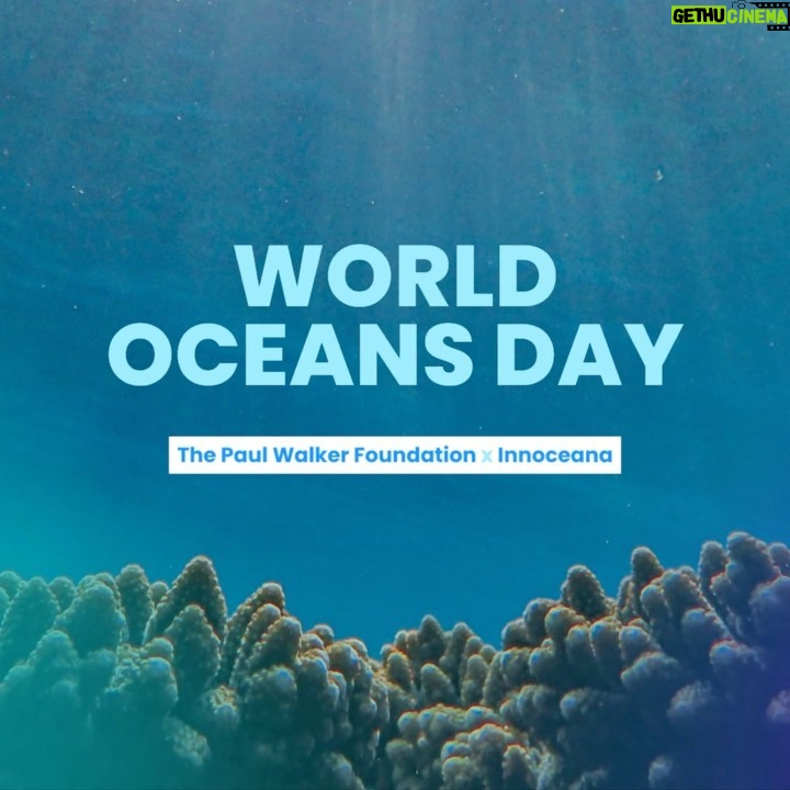 Paul Walker Instagram - Let’s make waves for a better world! 💙 Join us in celebrating #WorldOceansDay by taking action to protect our precious oceans. The @PaulWalkerFdn is partnering with @Innoceana to preserve one of our most important resources. Support the efforts in educating future generations and shop (link in bio) the limited edition World Oceans Day pocket tee and trucker cap. #DoGood #SaveTheOcean #TeamPW