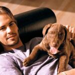 Paul Walker Instagram - “Animals are a window to your soul and a doorway to your spiritual destiny.” - Kim Shotola #NationalPetDay #TeamPW