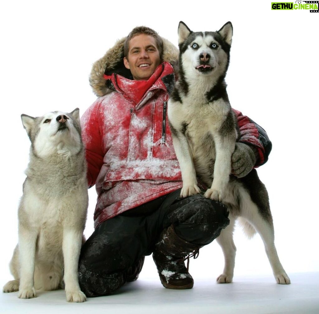 Paul Walker Instagram - “These dogs are my family.” - Jerry Shepard #EightBelow #TeamPW