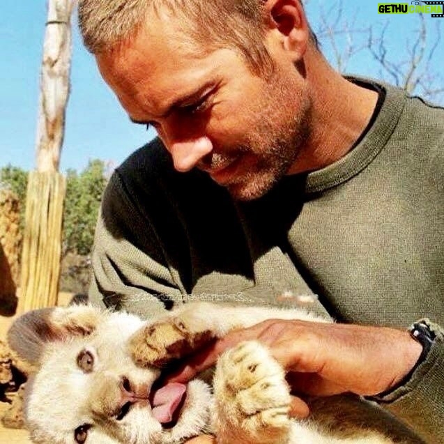 Paul Walker Instagram - “No act of kindness, no matter how small, is ever wasted.” - Aesop #WorldKindnessDay #TeamPW