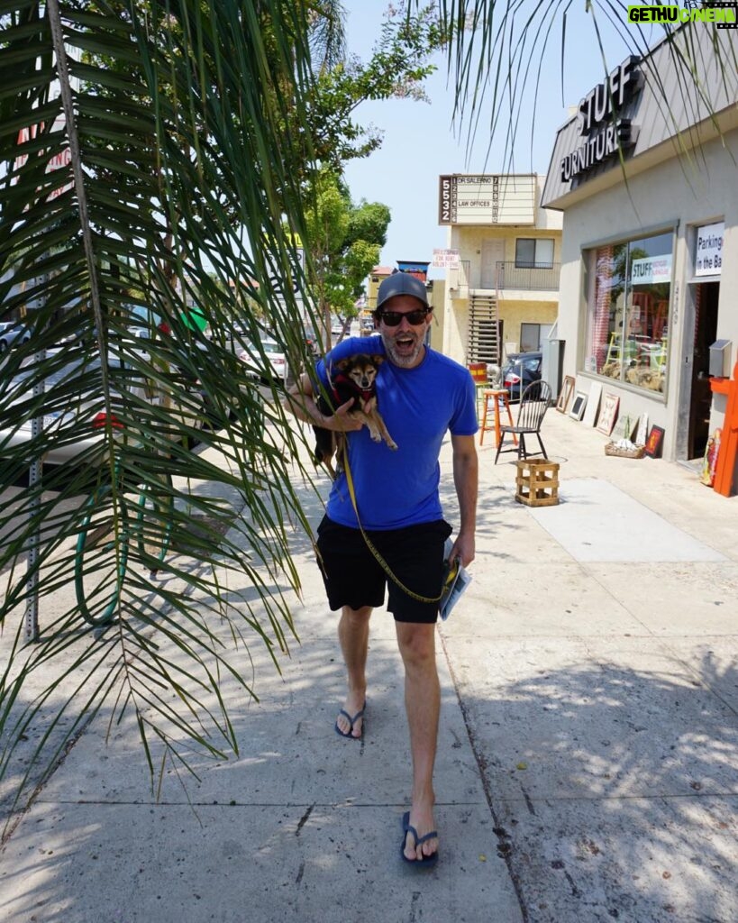 Paul Walling Instagram - It’s a jungle out here 😎🌴 . . . 📷: @mcgoldrickmatt 🐕: @dogcheagle San Diego, California