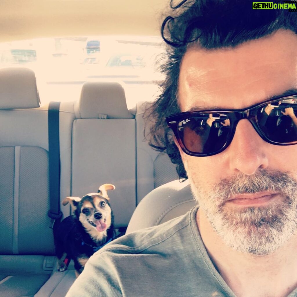 Paul Walling Instagram - One of us enjoys sitting in standstill traffic, the other one of us is me. #roadtrip #chauffeur #drivingmrlazy Pomona, California