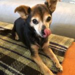 Paul Walling Instagram - We ain’t licked yet. #stayhomestaysafe