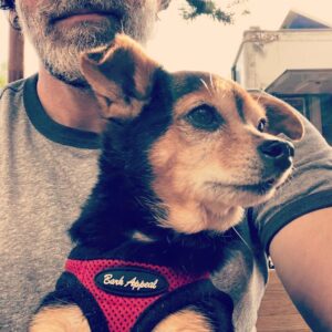 Paul Walling Instagram - Bacon sighting. @dogcheagle