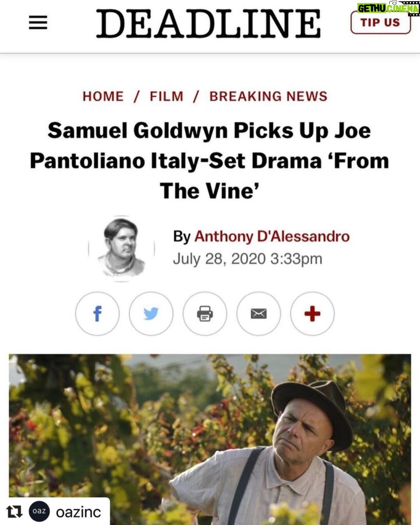 Paula Brancati Instagram - Pretty thrilled to be releasing @fromthevinemovie to US audiences this fall thanks to @goldwynfilms — so happy that we get to continue to share the work of this incredible crew & cast lead by @realjoeypants & @wendycrewson and bring a little Italian magic to our friends south of the border 🥳🍷 Repost @oazinc ❤️ ・・・ More exciting news about the film “From The Vine” 🍇 produced by and starring OAZ’s @pbrancs , as well as @wendycrewson , the film has been picked up by Samuel Goldwyn for a digital release this fall 🎉