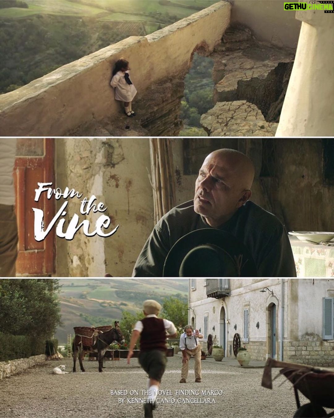 Paula Brancati Instagram - Happy Friday! Big thanks to all those who have watched and supported our little Italian movie baby this last week. Will be toasting to you this weekend! โค๏ธ๐ท Repost from our masterful cinematographer @scott_mcclellan โ scroll through for a peek at some of his and our crewโs beautiful work. @fromthevinemovie is avail on VOD on demand at Apple TV/ITunes, Rogers, Cineplex, Google, Microsoft, Bell, Telus, Eastlink & Cogeco ๐๐๐ Acerenza