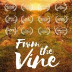 Paula Brancati Instagram - It’s been special to screen @fromthevinemovie at fests and hear how audiences are reminded of their own family’s roots when they watch it. Next up, @sonomafilmfest! 🍷🍷🍷
