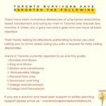Paula Brancati Instagram - Repost from @dandelioninitiative — Trigger/Content Warning: These tools detail safety planning tips that may trigger survivors of gender-based violence. If you are feeling overwhelmed or triggered, take a deep breath, walk away from the computer, call a friend or call any of these crisis lines and supports. https://www.dandelioninitiative.ca/resources#crisis We have received a lot of disclosures and reports of attempted abductions and street harassment from survivors in Toronto, we created a short summary of these in the second slide. We believe you and we are here if you need support. The second part of our safety planning series of tools for survivors details safety tools and offerings for women/non-binary/femme people experiencing sexual harassment or abuse in public spaces and on the street. The burden of keeping ourselves safer in public spaces should not be ours alone. See our recommendations for cis men to engage in active allyship. Please remember to reach out, you are not alone and this is never your fault. https://www.dandelioninitiative.ca/resources-for-survivors