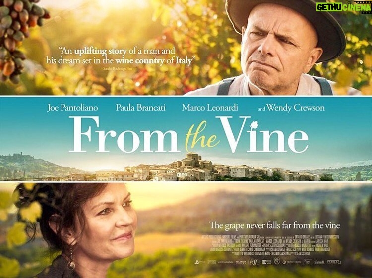 Paula Brancati Instagram - Releasing our little film in CDA & US and sharing this team’s work was a highlight this year. Looking forward to bringing @fromthevinemovie to audiences in the UK, Australia, Ireland & New Zealand in 2021! Felice Anno Nuovo — Hope your New Year is safe & bright✨🍷