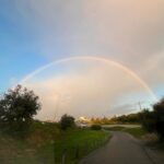 Paula Lobo Antunes Instagram - Happy Friday 🌈