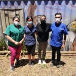 Paula Luchsinger Instagram - Ayer tuve la suerte de conocer a la @fundacion_nacurutu El dr Cristian Herrera y su equipo rehabilitan fauna silvestre para que puedan seguir su vida en libertad 🦉🐢🦅🐍 Esta fundación sobrevive gracias a los esfuerzos de Cristian y a las donaciones, por lo que lxs invito a ir al link de su página si quieren hacer su donación. Agradezco y admiro a las personas que dedican sus vidas a la conservación de nuestros ecosistemas, especialmente en estos momentos de emergencia climática.