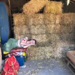 Pauline Clément Instagram – Sur la paille 🧹 & fin de saison