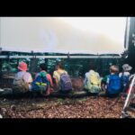 Pauline Clément Instagram – Des taches de rousseur, une bd, la prof de sport qui a la flemme, du chocolat dans une cachette et des boucles d’oreille en forme de carotte ! 👩‍🌾
