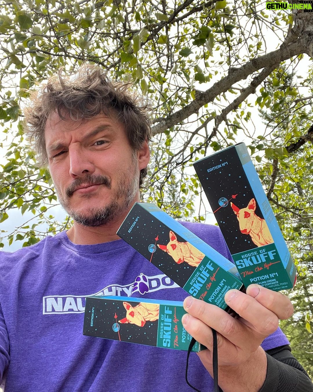 Pedro Pascal Instagram - #Skuff by @mirachai! Tested on celebrities, not animals. Sex & Sleep friendly. (Go to @mirachai and behold all the hotties this hair potion has made.)
