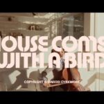 Pedro Pascal Instagram - House Comes With A Bird by @janicza #MiuMiu #MiuMiuWomensTales #MiucciaPrada