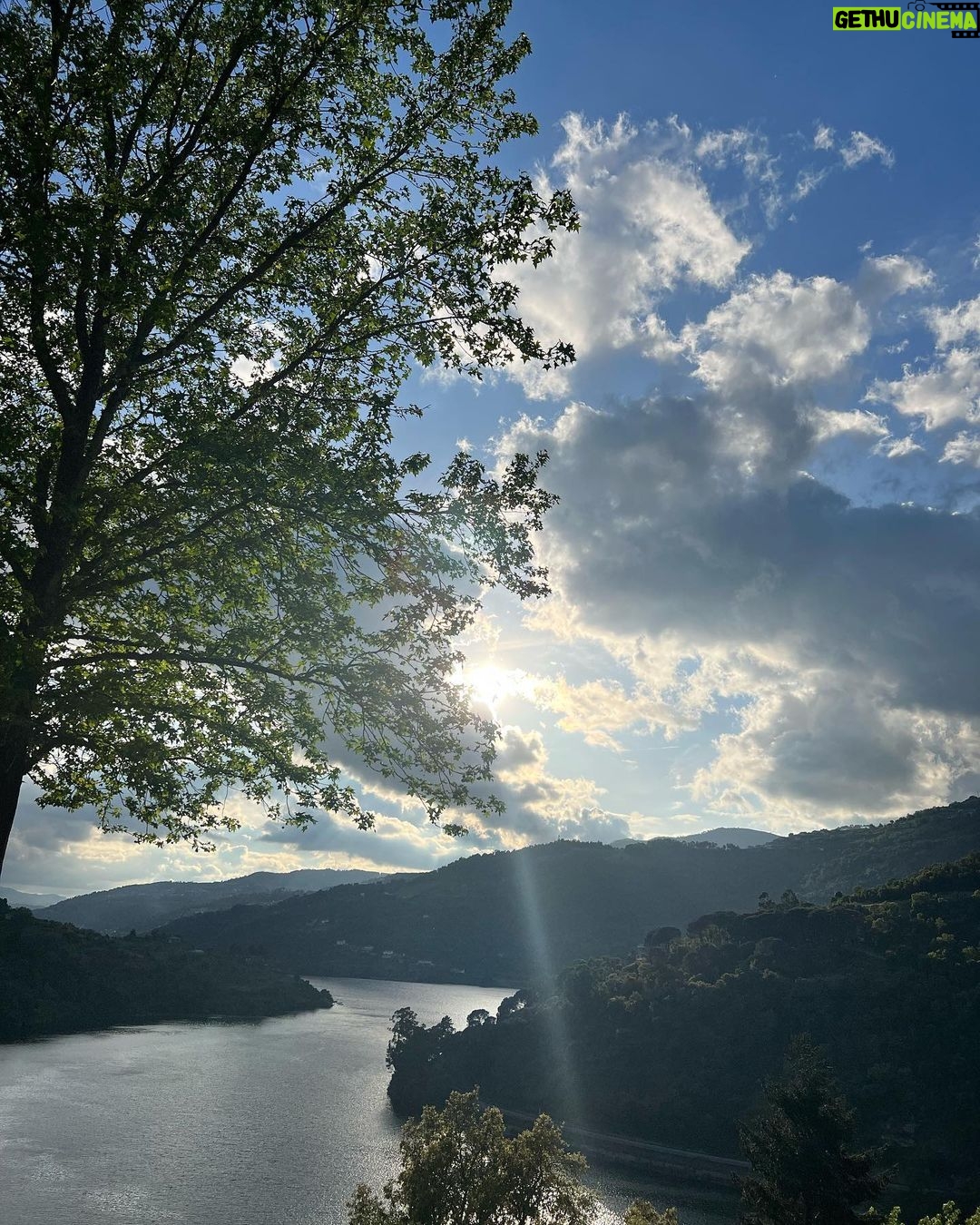 Pedro Ribeiro Instagram - Destes dias Douro. Resende, Viseu, Portugal
