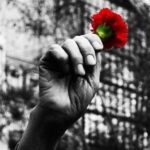 Pedro Ribeiro Instagram - Liberdade e Democracia, sempre. #25deabril
