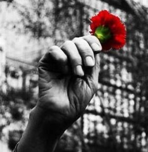 Pedro Ribeiro Instagram - Liberdade e Democracia, sempre.

#25deabril