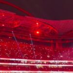 Pedro Ribeiro Instagram - Uma festa imensa. O Benfica é uma ideia maravilhosa que une milhões de pessoas. País e filhos, por exemplo. Viva o Benfica! O campeão voltou. #dameo39