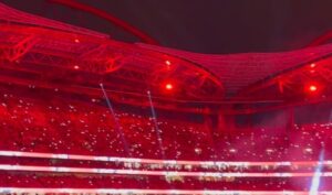 Pedro Ribeiro Instagram - Uma festa imensa. 
O Benfica é uma ideia maravilhosa que une milhões de pessoas. 
País e filhos, por exemplo. Viva o Benfica! O campeão voltou. 

#dameo39