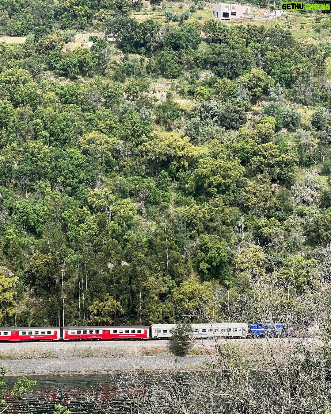 Pedro Ribeiro Instagram - Destes dias Douro. Resende, Viseu, Portugal