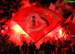 Pedro Ribeiro Instagram - Parabéns, Benfica. Obrigado por tanto. 🔴⚪️ Estádio do Sport Lisboa e Benfica