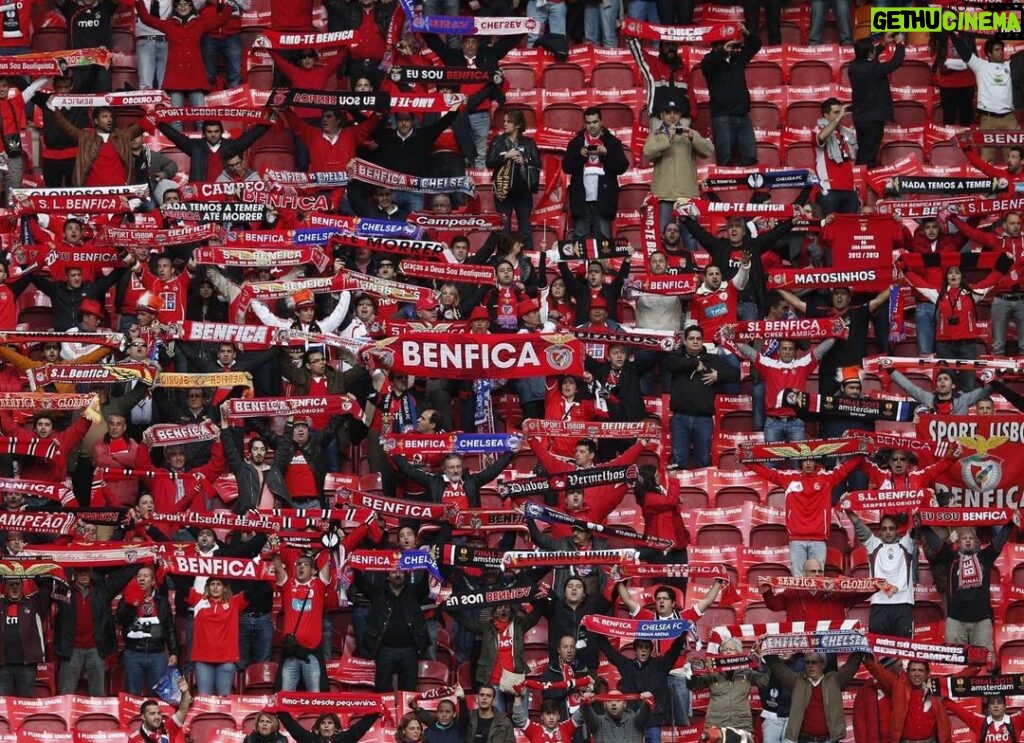 Pedro Ribeiro Instagram - Parabéns, Benfica. Obrigado por tanto. 🔴⚪️ Estádio do Sport Lisboa e Benfica