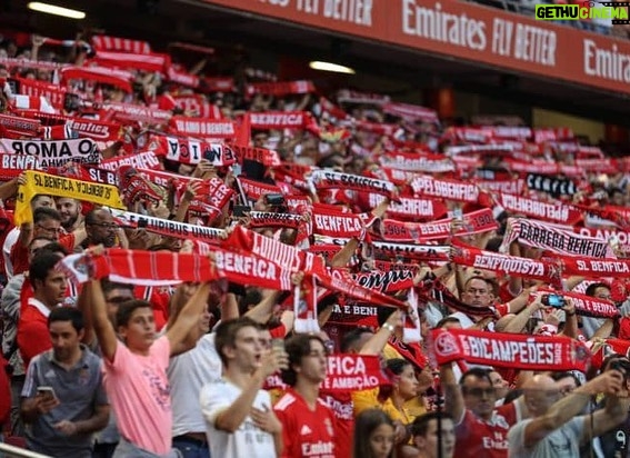 Pedro Ribeiro Instagram - Parabéns, Benfica. Obrigado por tanto. 🔴⚪️ Estádio do Sport Lisboa e Benfica