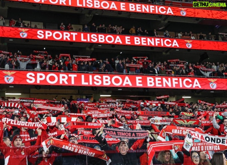 Pedro Ribeiro Instagram - Parabéns, Benfica. Obrigado por tanto. 🔴⚪️ Estádio do Sport Lisboa e Benfica