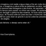 Pedro Ribeiro Instagram - Sophia de Mello Breyner nasceu num 6 de Novembro.
