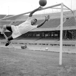 Pelé Instagram - Não importa o tamanho da adversidade. Voe o mais alto que conseguir. 
.
No matter the size of the adversity. Fly as high as you can.