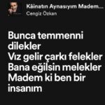 Pelin Abay Instagram - işte yani