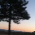 Pelin Abay Instagram -