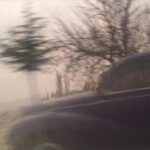 Pelin Abay Instagram -