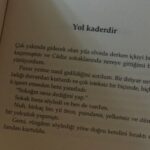 Pelin Abay Instagram -