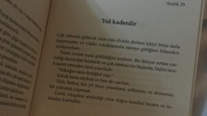 Pelin Abay Instagram - 