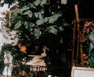 Pelin Abay Instagram - ‘Nesnelerin beklenmedik karşılaşmaları.’