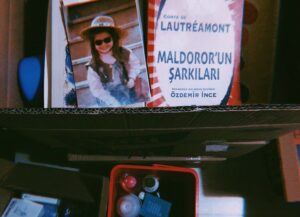 Pelin Abay Instagram - Dostlarım: Uğurtay ve Lautreamont, üstünde mavi keçeli kalemle ‘sol/2’ yazan bir kolide. Eylül’ün ilk günü, benim 9582. 📦🍂