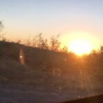Pelin Abay Instagram -